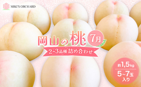 桃 [訳あり 2級品] 2025年 先行予約 岡山の桃 7月の桃 2〜3品種 詰め合わせ セット 5〜7玉入り 約1.5kg MIKI'S ORCHARD もも モモ 果物 岡山 家庭用