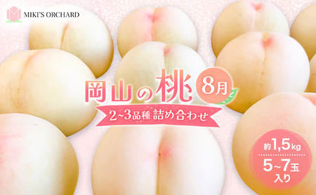  y󂠂 2iz 2026N s\ R̓ 8̓ 2`3i lߍ킹 Zbg 5`7ʓ 1.5kg  MIKIfS ORCHARD    ʕ R ƒp