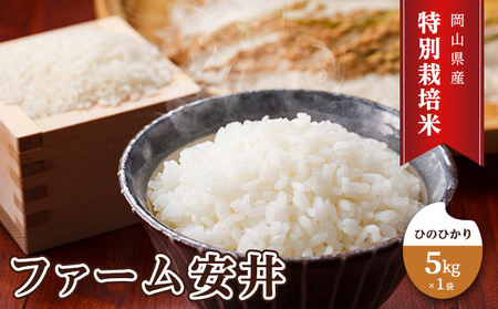 お米 [2025年11月〜発送予定] 特別栽培米 ひのひかり 5kg×1袋 米 白米 岡山県産 ファーム安井 精米 ライス ご飯 おにぎり お弁当 和食 主食 国産 炭水化物 直送 産地直送 粘り 香り バランス