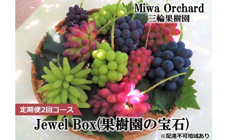 ぶどう 2025年 先行予約 ジュエルボックス 皮ごと食べることのできる 葡萄 4〜5品種 詰合せ 約2kg 定期便 2回 コース ブドウ 葡萄 岡山県 赤磐市産 国産 フルーツ 果物 ギフト 三輪果樹園 岡山のぶどう 食べ比べ