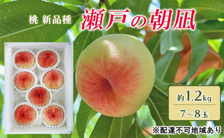 桃 2025年 先行予約 瀬戸の朝凪 KU-PP1 約1.2kg 7〜8玉 新品種 モモ もも フルーツ 果物 岡山 赤磐市産