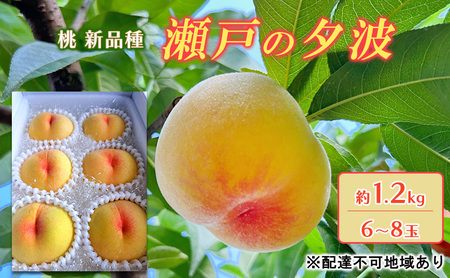 桃 2025年 先行予約 瀬戸の夕波 KU-PP2 約1.2kg 6〜8玉 新品種 モモ もも フルーツ 果物 岡山 赤磐市産