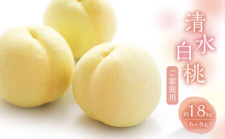 桃 2025年 数量限定 白桃 清水白桃 約1.8kg 6〜8玉 ご家庭用 フルーツ 果物 岡山 赤磐市産