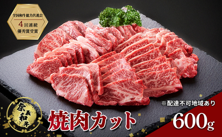 ދ`a ēJbg 600g   Ȃr[t   a ē Y R Ԕ֎s