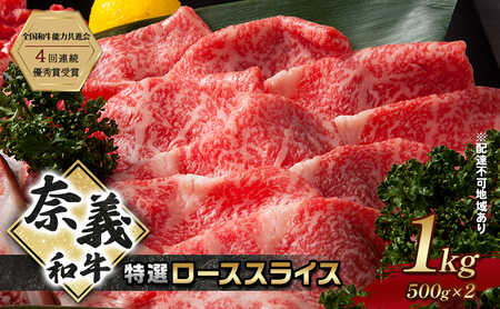 ދ`a  [XXCX 1000g (500g×2) Ȃr[t     a R Y