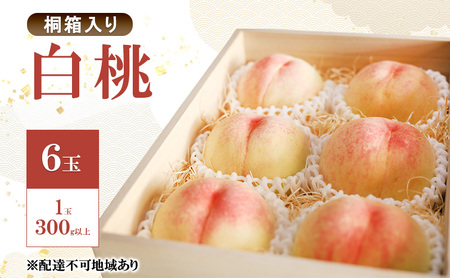 ���� 2026�N ��s�\�� ���� 6�� 1��300g�ȏ� �˔����� ���B�̍� �J �c�ˉ� ���蕨 ���� �̂��Ή� ���R�� �Ԕ֎s