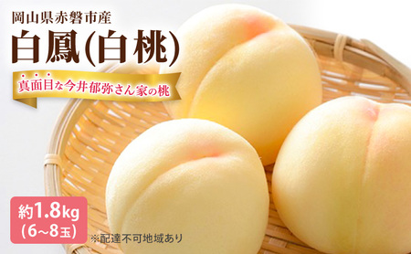  2026N s\ ^ʖڂȍ킳Ƃ̓  P 1.8kg 6`8 t[c ʕ R Ԕ֎sY