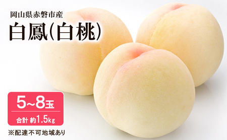  2026N s\  P 1.5kg 5`8 t[c ʕ R Ԕ֎sY