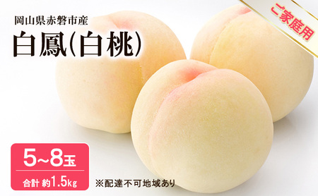  2026N s\  P 1.5kg 5`8 ƒp t[c ʕ R Ԕ֎sY