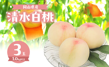 �� 2026�N ���ʌ��� �������� 3�� �v1.0kg�ȏ� ���R�� �Ԕ֎s�Y