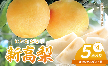 梨 2025年 新高梨(にいたかなし)オリジナルギフト箱 5玉入り(約4kg)赤磐市赤坂産 なし フルーツ 果物