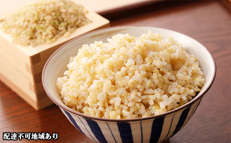 きぬむすめ 玄米 10kg 岡山県 赤磐市産 お米