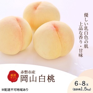  2026N s\ R 6`8 1.5kg ϔ R Ԕ֎sY ʕ t[c   