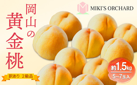 桃 [ 訳あり 2級品 ] 2026年 先行予約 黄金桃 約1.5kg(5〜7玉入り) MIKI'S ORCHARD もも モモ 果物 フルーツ 岡山 赤磐市