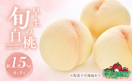  2026N s\ ̏{  1.5kg 6`9 ip   t[c ʕ R Ԕ֎sY _}| _