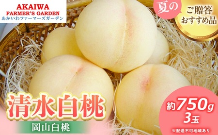  2026N s\   750g 3  R Ԕ֎sY t[c ʕ t@[}[YK[f ʕ