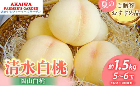  2026N s\   1.5kg 5`6  R Ԕ֎sY t[c ʕ t@[}[YK[f