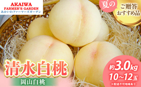  2026N s\   3.0kg 10`12  R Ԕ֎sY t[c ʕ t@[}[YK[f ʕ