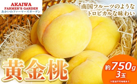  2026N s\  750g 3  R Ԕ֎sY t[c ʕ t@[}[YK[f ʕ