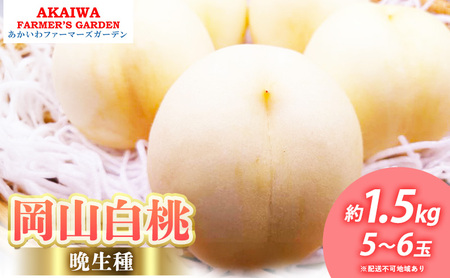 桃 2026年 先行予約 岡山の 白桃 (晩生種) 約1.5kg 5〜6玉 もも 岡山県 赤磐市産 フルーツ 果物 あかいわファーマーズガーデン
