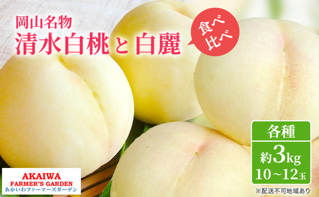  2026N s\  R  Hה I    e3.0kg 10`12 t@[}[YK[f ʕ