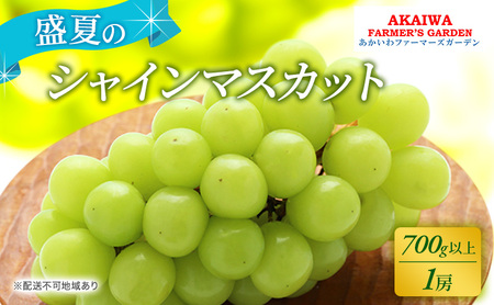 Ԃǂ 2026N s\ VC}XJbg 700gȏ 1[   R Ԕ֎sY t[c ʕ t@[}[YK[f ʕ