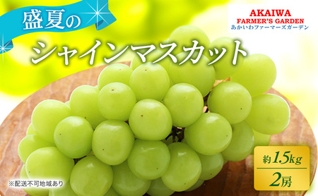 Ԃǂ 2026N s\ VC}XJbg 1.5kg 2[   R Ԕ֎sY t[c ʕ t@[}[YK[f ʕ