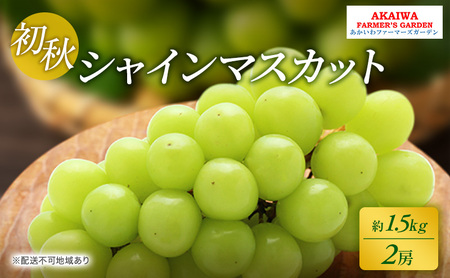 Ԃǂ 2026N s\ VC}XJbg 1.5kg 2[ H  R Ԕ֎sY t[c ʕ t@[}[YK[f ʕ