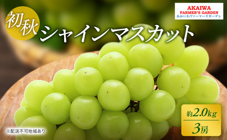 Ԃǂ 2026N s\ VC}XJbg 2.0kg 3[ H  R Ԕ֎sY t[c ʕ t@[}[YK[f ʕ