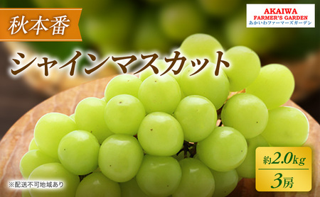 Ԃǂ 2026N s\ VC}XJbg 2.0kg 3[ H{  R Ԕ֎sY t[c ʕ ʕ