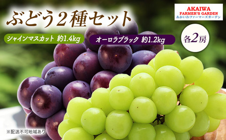 Ԃǂ 2026N s\ VC}XJbg 1.4kg 2[ I[ubN 1.2kg 2[  R Ԕ֎sY t[c ʕ