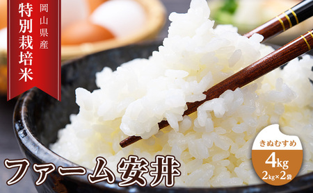  y2025N11`\z ʍ͔| ʂނ 4kg (2kg×2)   RY t@[  CX  ɂ ٓ aH H Y Y  Yn S苭 ӂ