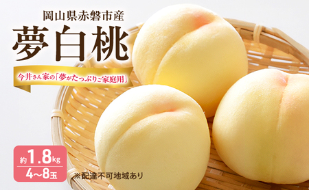 桃 2026年 先行予約 おかやま 夢白桃 今井さん家の「夢がたっぷりご家庭用」 約1.8kg 4〜8玉 フルーツ 果物 岡山 赤磐市産