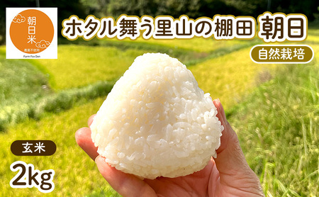 令和7年産 自然栽培 朝日 玄米2kg ホタル舞う里山の棚田 栽培期間中 農薬 化学肥料不使用 米 岡山県 赤磐市 朝日米
