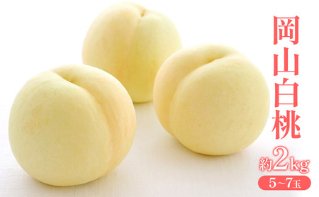 �� 2026�N ��s��t ���R ���� ��2kg (5�`7��) �t���[�c �ʕ� ���R �Ԕ֎s