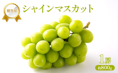 �Ԃǂ� 2026�N ��s��t �����p �V���C���}�X�J�b�g 1�[ ��800g �t���[�c �ʕ� ���R �Ԕ֎s