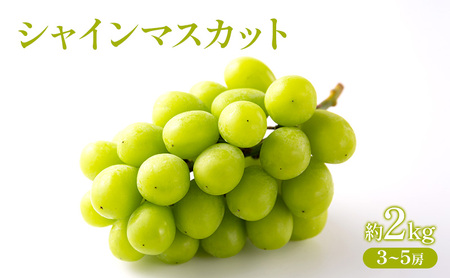 �Ԃǂ� 2026�N ��s��t �V���C���}�X�J�b�g ��2kg  (3�`5�[) �t���[�c �ʕ� ���R �Ԕ֎s