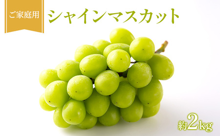 �Ԃǂ� 2026�N ��s��t ���ƒ�p �V���C���}�X�J�b�g ��2kg �t���[�c �ʕ� ���R �Ԕ֎s