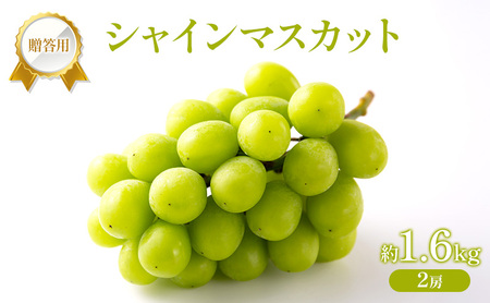 �Ԃǂ� 2026�N ��s��t �����p �V���C���}�X�J�b�g ��1.6kg (2�[) �t���[�c �ʕ� ���R �Ԕ֎s