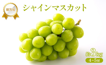 �Ԃǂ� 2026�N ��s��t �����p �V���C���}�X�J�b�g ��3kg (4�`5�[) �t���[�c �ʕ� ���R �Ԕ֎s