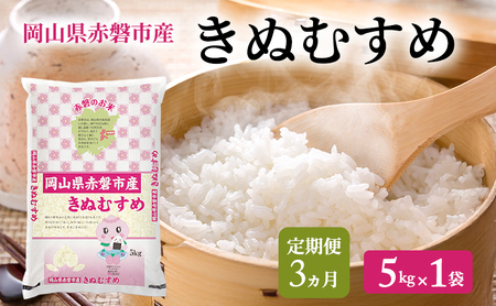 米 2025年産 定期便 3ヵ月 きぬむすめ 5kg 1袋 岡山県赤磐市産 精米 白米 こめ お米 特Aランク 3回