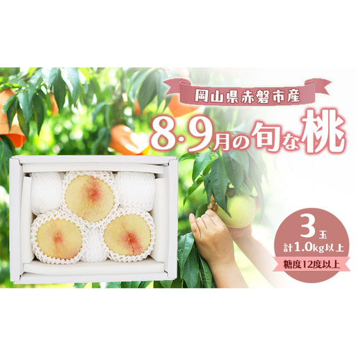 桃 2026年 数量限定 岡山の白桃 『8・9月の旬な桃』 3玉 計1.0kg以上 糖度12度以上