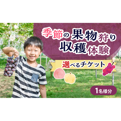 フルーツ 季節の果物狩り 収穫体験 選べる チケット 1名様分 フルーツ狩り シャインマスカット ぶどう 梨 桃 藤原園芸 岡山県 赤磐市