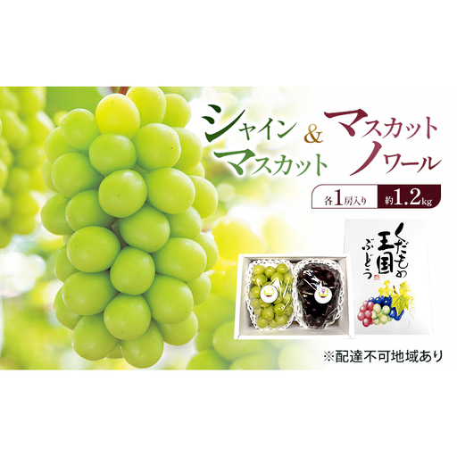 ぶどう 2026年 先行予約 シャインマスカット & マスカットノワール 各1房入り 約1.2kg 岡山県 赤磐市 ブドウ 果物 フルーツ