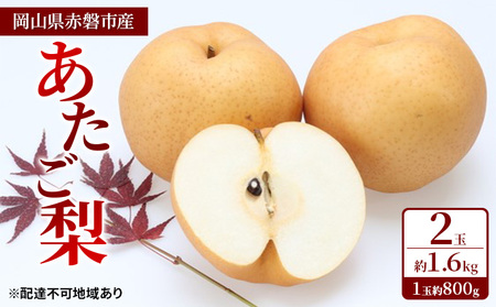 梨 2024年 先行予約 あたご梨 2玉 約1.6kg(1玉約800g)岡山県 赤磐市産[配達不可:離島] なし フルーツ 果物