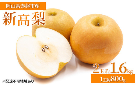 梨 2024年 先行予約 新高梨 2玉 約1.6kg(1玉約800g)岡山県 赤磐市産[配達不可:離島] なし フルーツ 果物