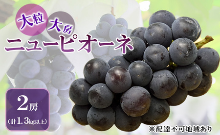 �Ԃǂ� 2026�N ��s�\�� �j���[ �s�I�[�l �嗱 ��[ 2�[ ���v1.3kg�ȏ� �u�h�E ���� ���R�� �Ԕ֎s�Y ���Y �t���[�c �ʕ� �M�t�g �ԍ��s �ʕ���