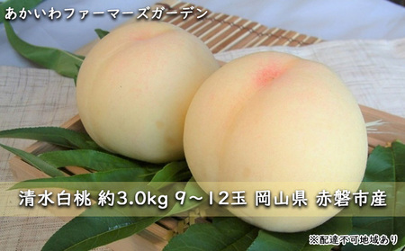 赤磐市産 清水 白桃 約3.0kg 9〜10玉