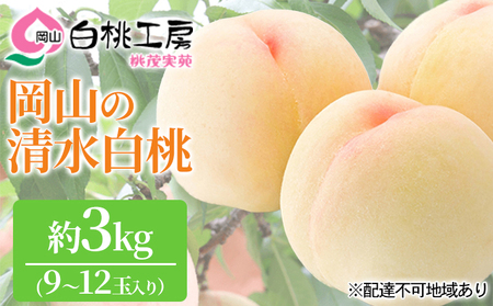 桃茂実苑 清水 白桃 3kg（9〜12玉）