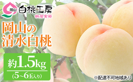 桃茂実苑 清水 白桃 1.5kg（5〜6玉）